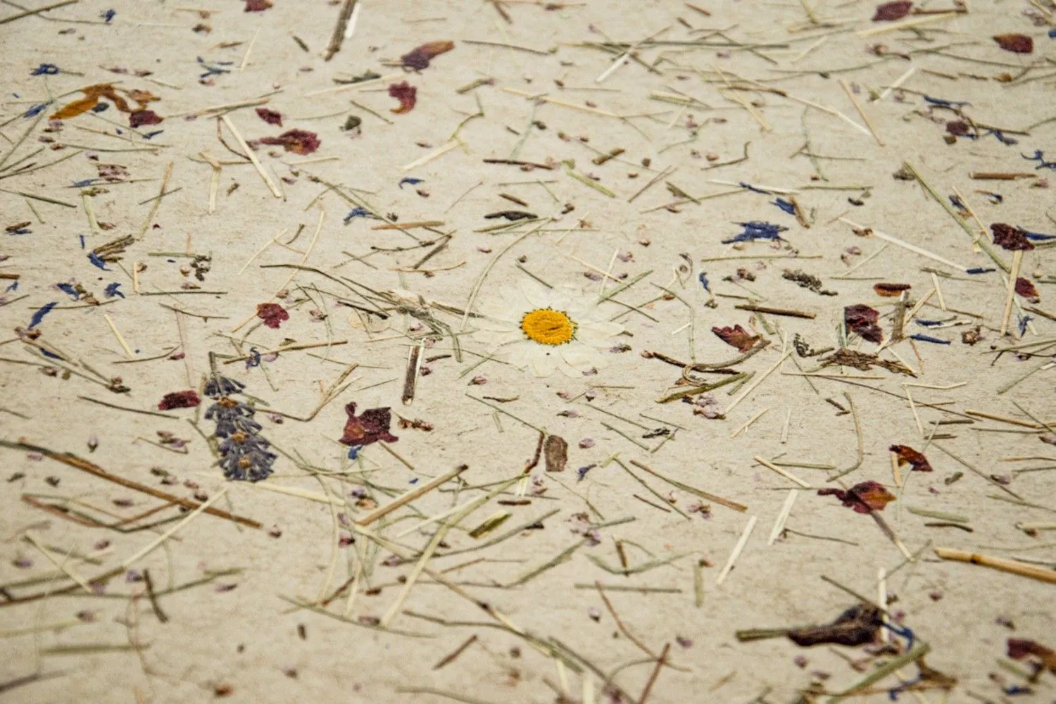 ALPINE-FLORAL-TOUCH
