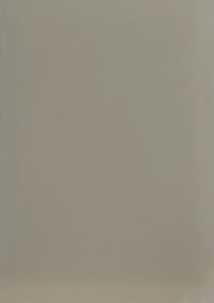 BISQUE-OPAQUE-CH341-831