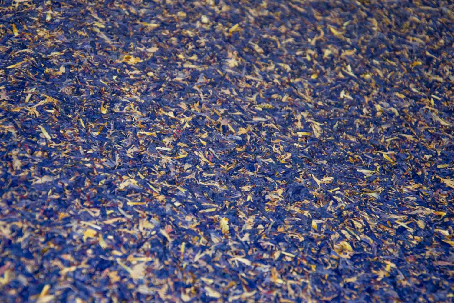 BLUE-PETAL