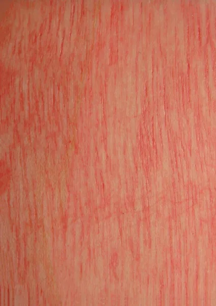 Blush CW12XX-125BLS