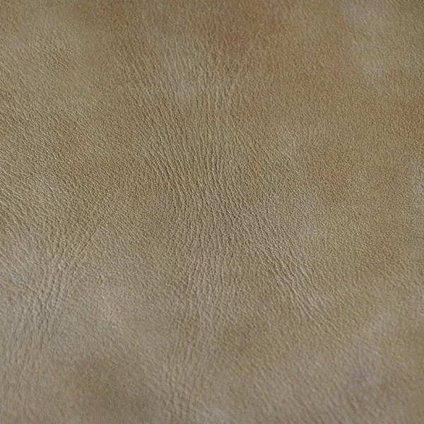 BROWNL101