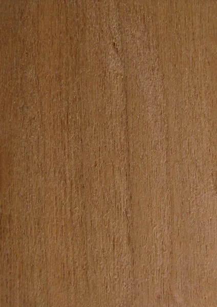Cherry RW1X24-XXXCHE