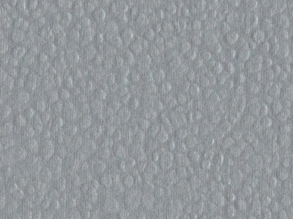 CMH47498-SILVER
