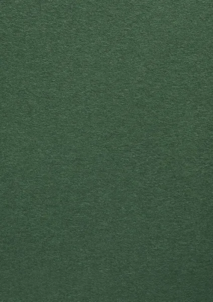 COLOR-PLAN-FOREST-5548-270