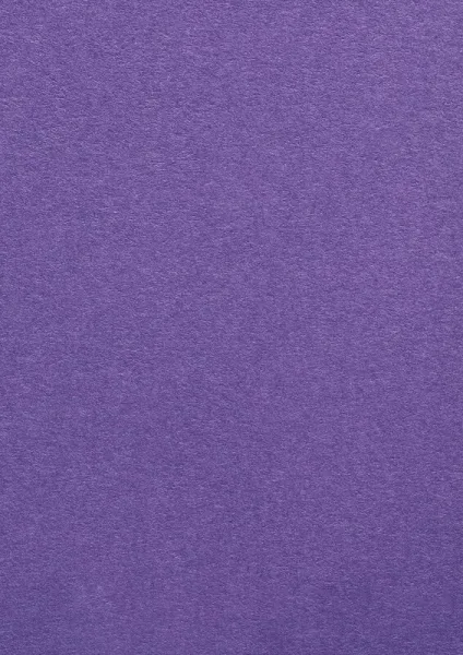 COLOR-PLAN-PURPLE-5558-270