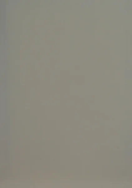 CREME-BRULEE-OPAQUE-CH341-221-2