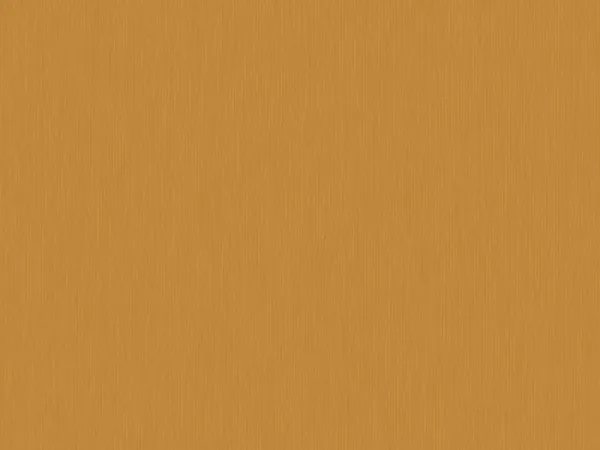 CSP817-SUNNY