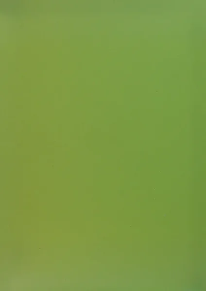 KIWI-TRANSLUCENT-CH3X1-931