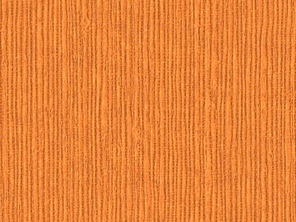 NAB2022-TANGERINE