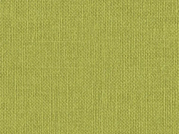 NAC8051-LIME