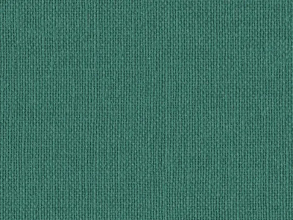 NAC8058-FOREST