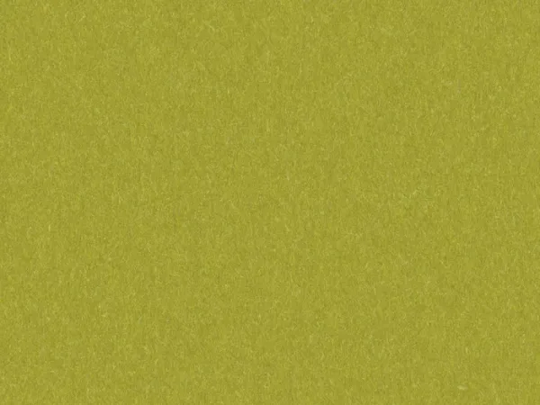 NAK1051-LIME