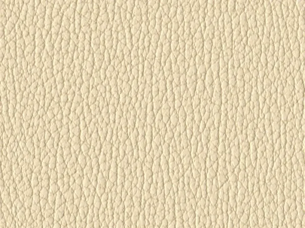 NAS1213-CREAM