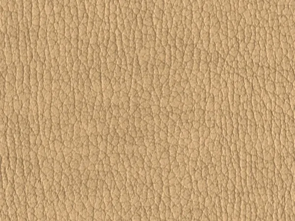 NAS1215-BEIGE
