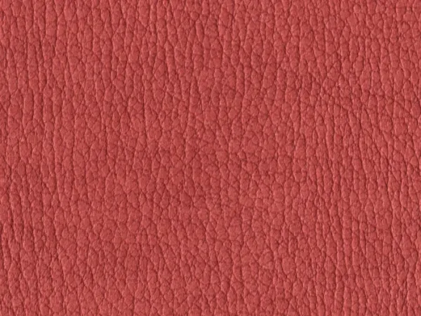 NAS1224-DARK-RED