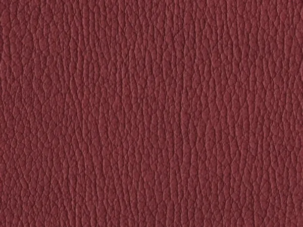 NAS1226-BURGUNDY