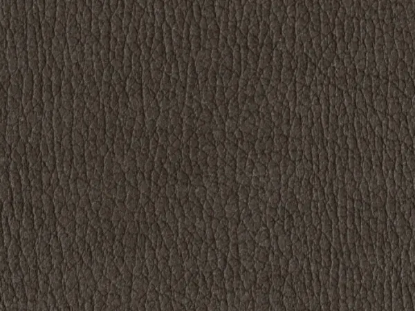 NAS1248-CHOCOLATE