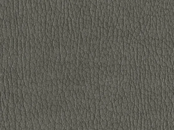 NAS1264-GREY