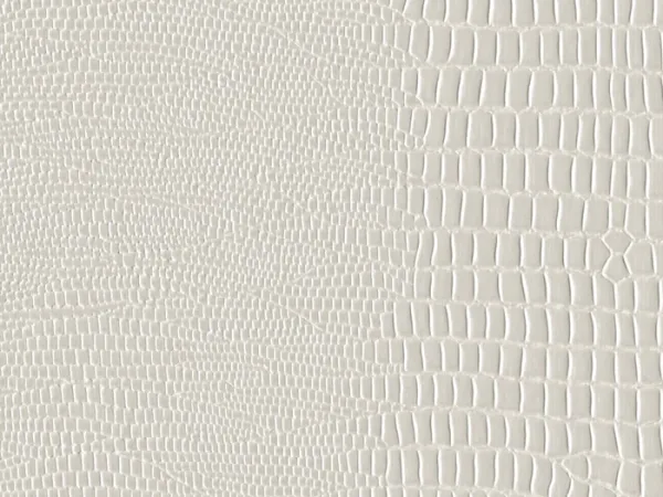 PEI9401-ROYAL-OYSTER