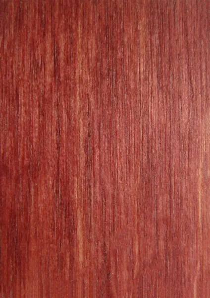 PLUM-CW12XX-125PLM