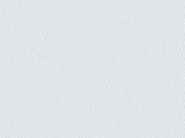 QCR6019-NEIGE