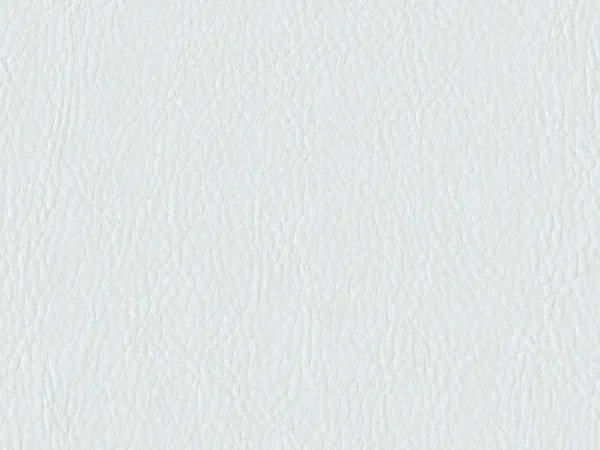 QUA6219-NEIGE