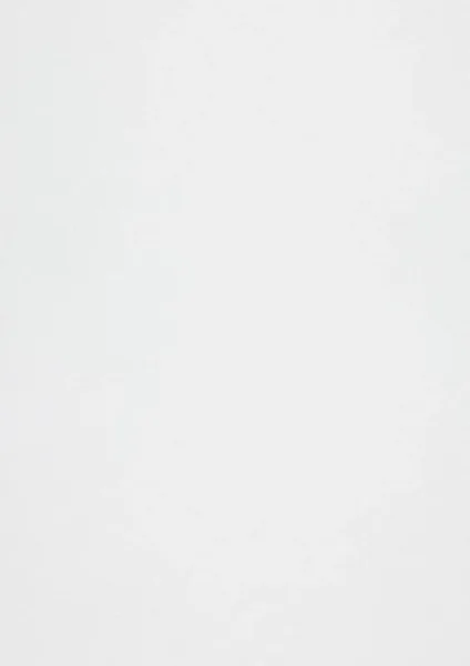 RIVES-TRADITION-BRIGHT-WHITE-3.31.226