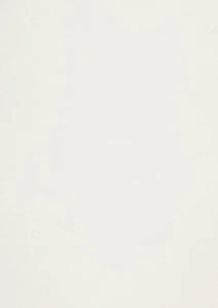 RIVES-TRADITION-ICE-WHITE-3.31.228