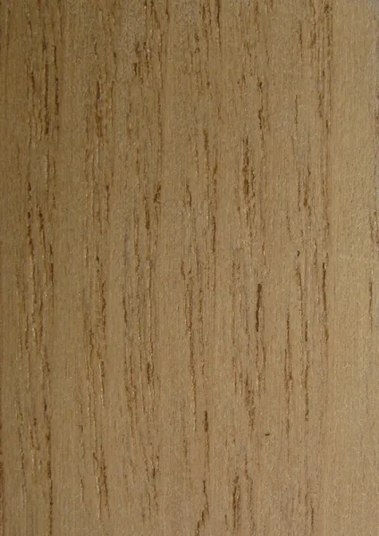 Sassafras RW1X24-XXXSAS