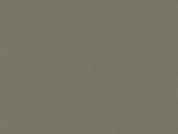 SIN9082-LICHEN