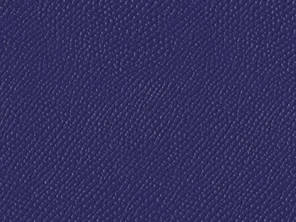 SXM6005-ULTRA-VIOLET