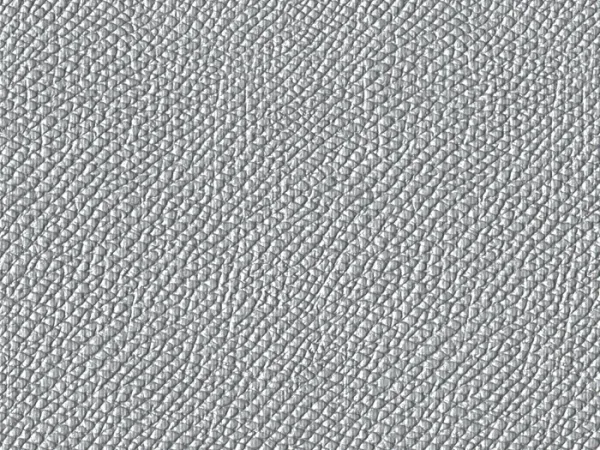 SXM6020-SILVER