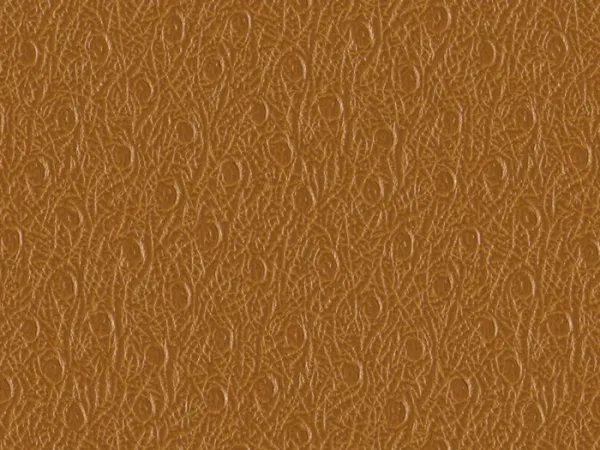 SXO5339-BROWN