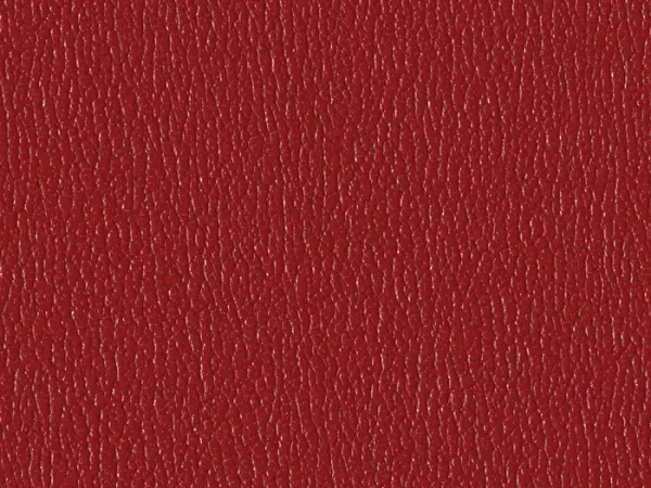 SXS5249-RED