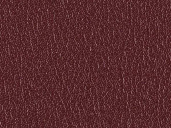 SXU5344-MAROON
