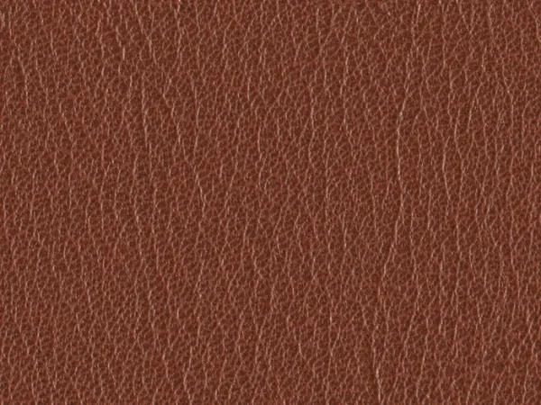 SXU5348-BROWN