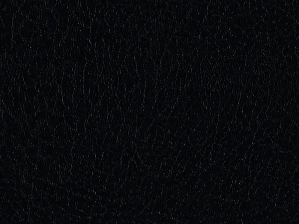WCE23499-BLACK