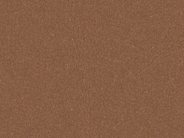 WNAT1020-TAN
