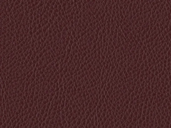 WSA20-BURGUNDY