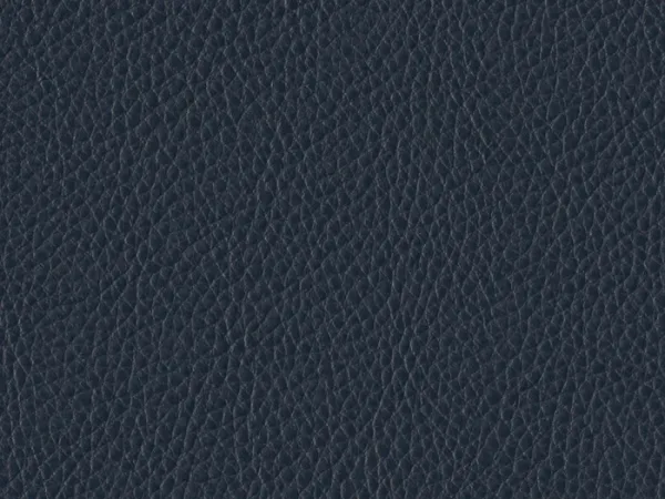 WSA21-MARINE