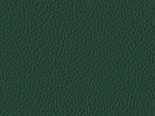 WSA22-GREEN