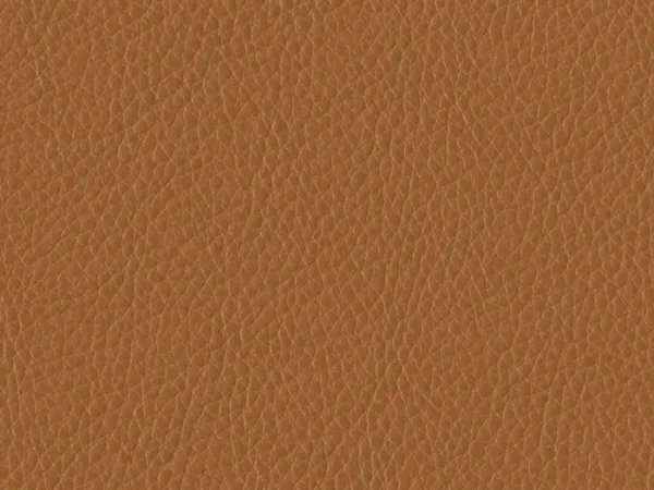 WSA55-TAN