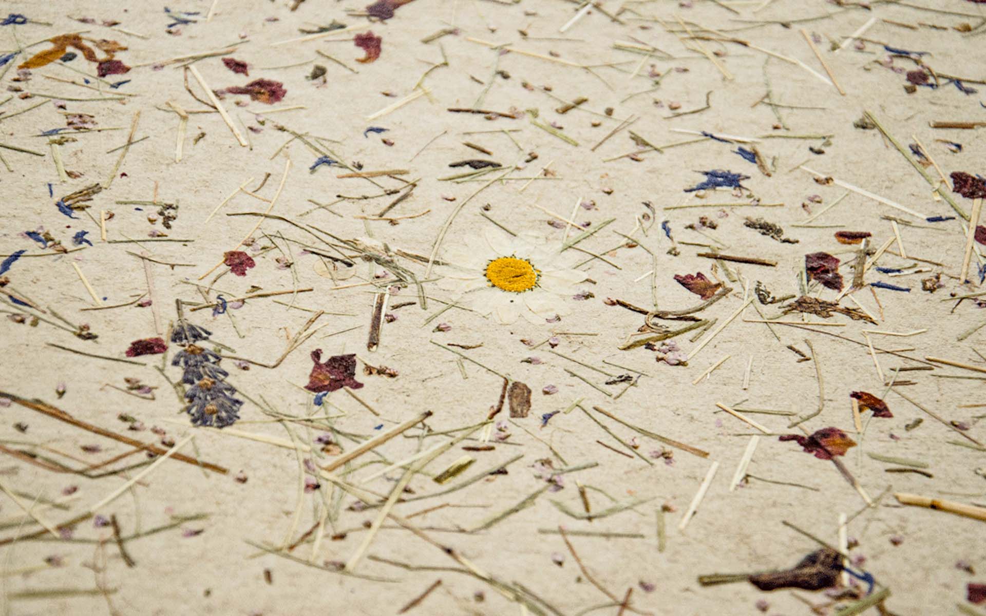 sustainable  0002 natural surfaces 03