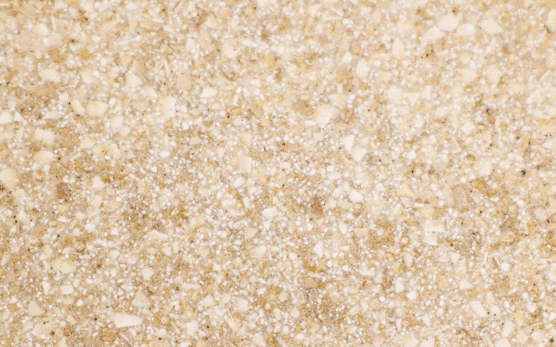 sustainable  0012 eggshell 03