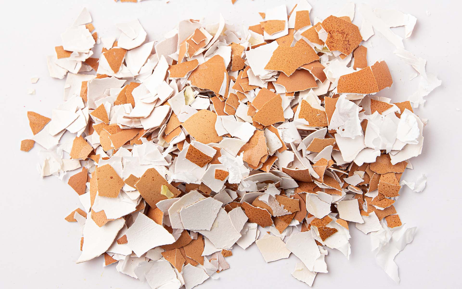 sustainable  0014 eggshell 01