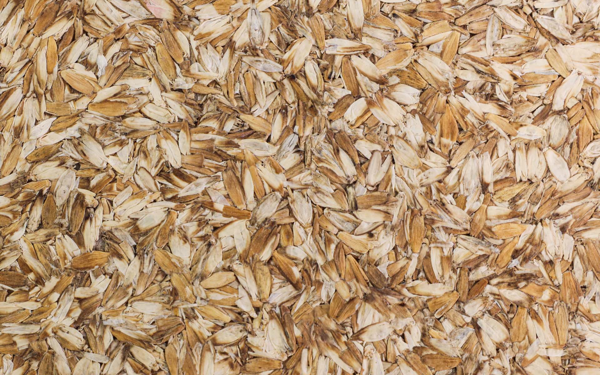 sustainable  0017 wheat 03