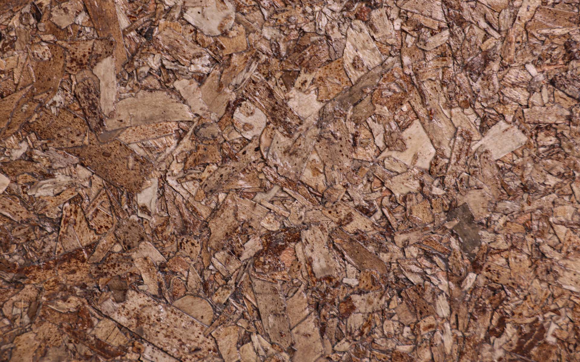 sustainable  0022 seagrass 03